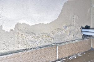 Rising Damp