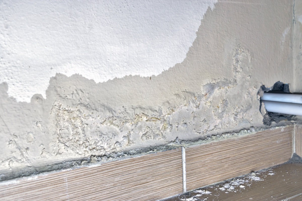 Rising Damp
