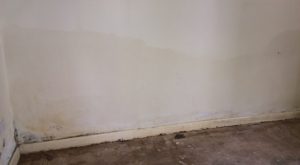 Rising Damp