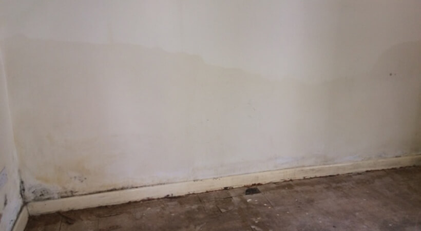 Rising Damp
